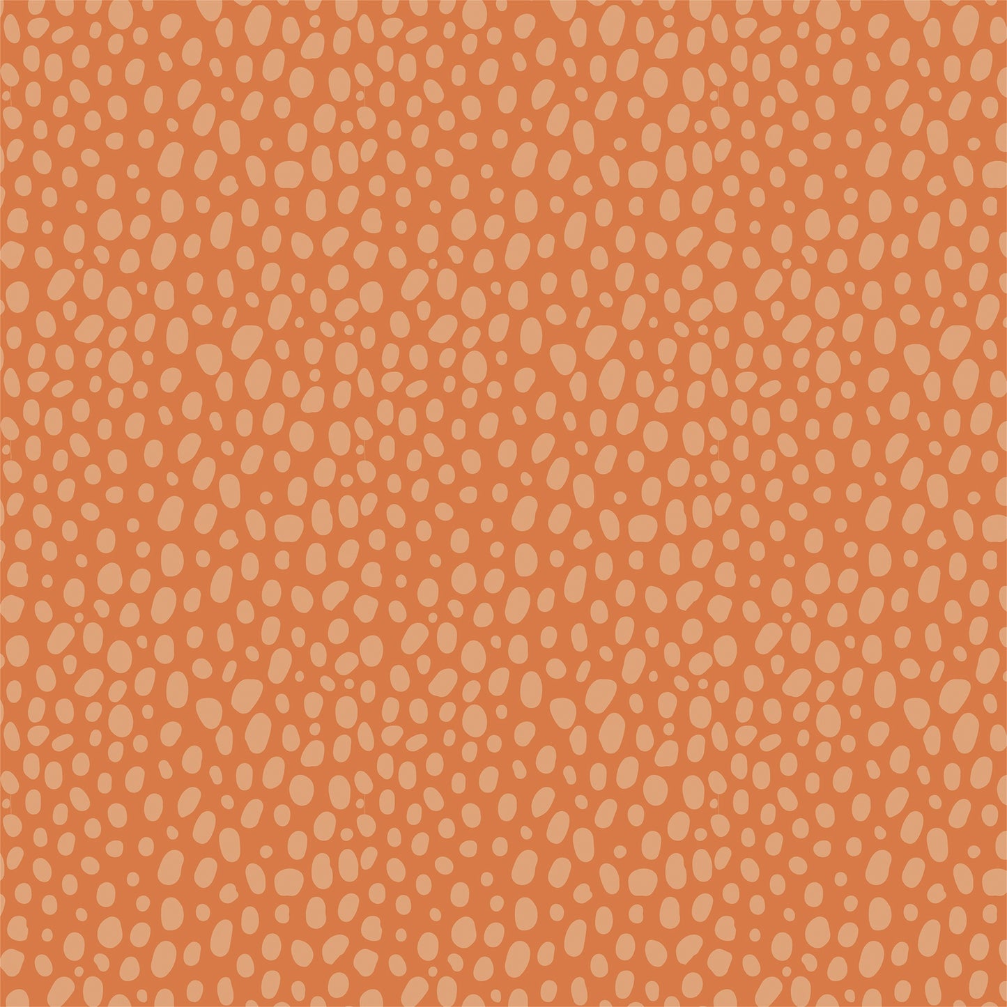 Echo Park - Little Explorer - Walk On The Wild Side - 12" x 12" Scrapbook Paper