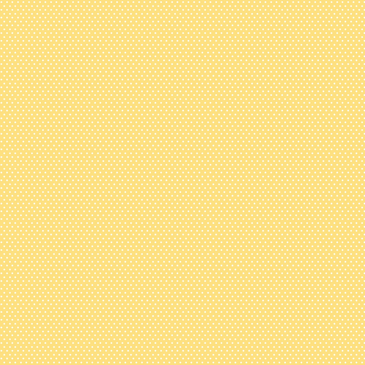 Bella Blvd - Documented - 12x12 Scrapbook Paper - Real Life