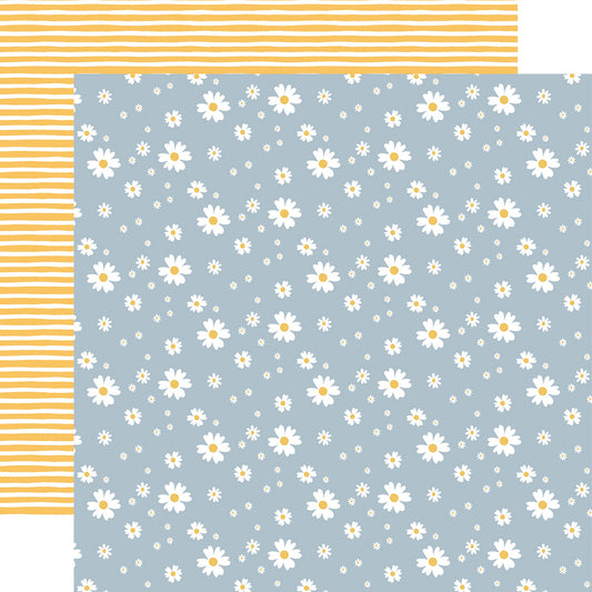 Echo Park - Firefly - Shining Daisies - 12" x 12" Scrapbook Paper