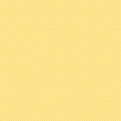 Bella Blvd - Documented - 12x12 Scrapbook Paper - Real Life