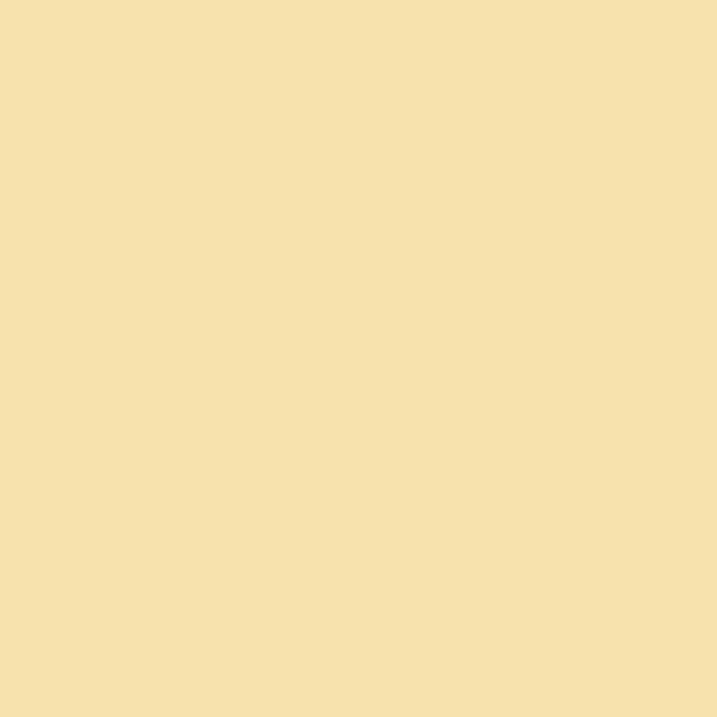 Arden Creative Studio - 12x12 Cardstock -  Chamois