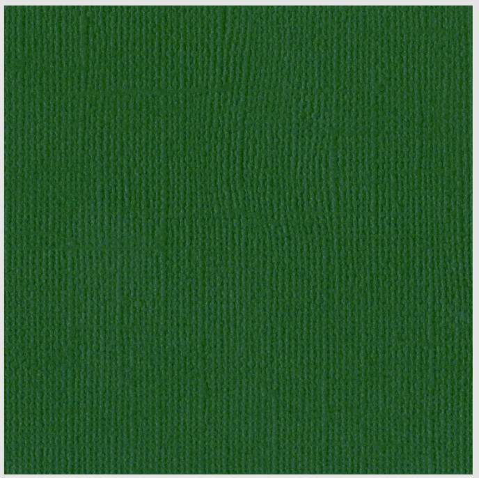 Bazzill Basics - 12x12 Textured Cardstock - Bazzill Green