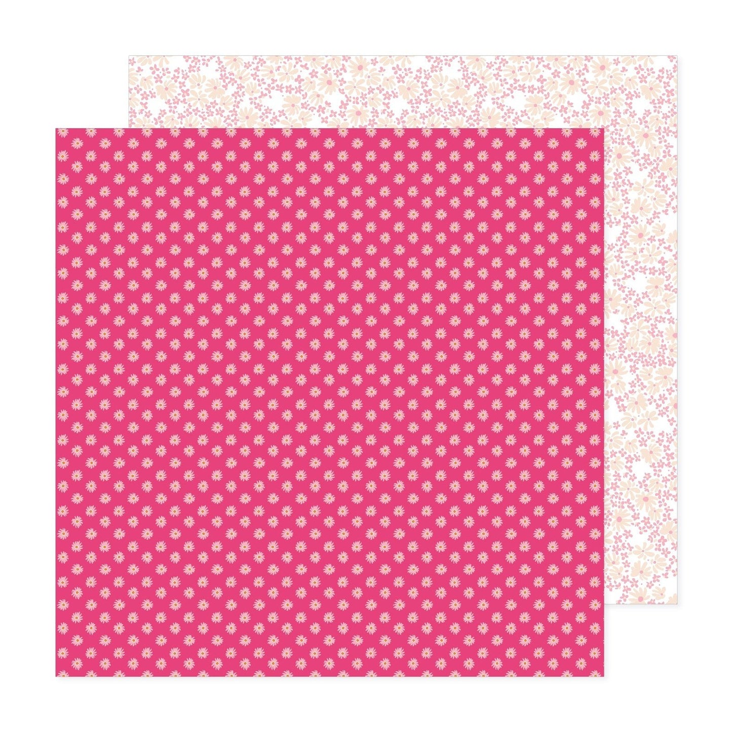 Paige Evans - Adventurous - Paper 12 - 12" x 12" Scrapbook Paper - Scrappyroo